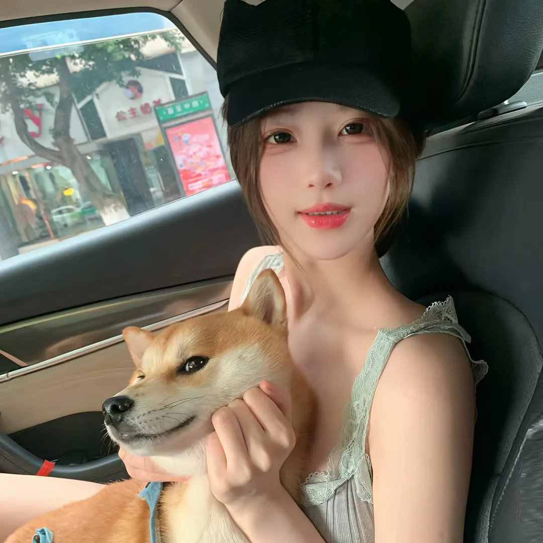 极主夫道第二季